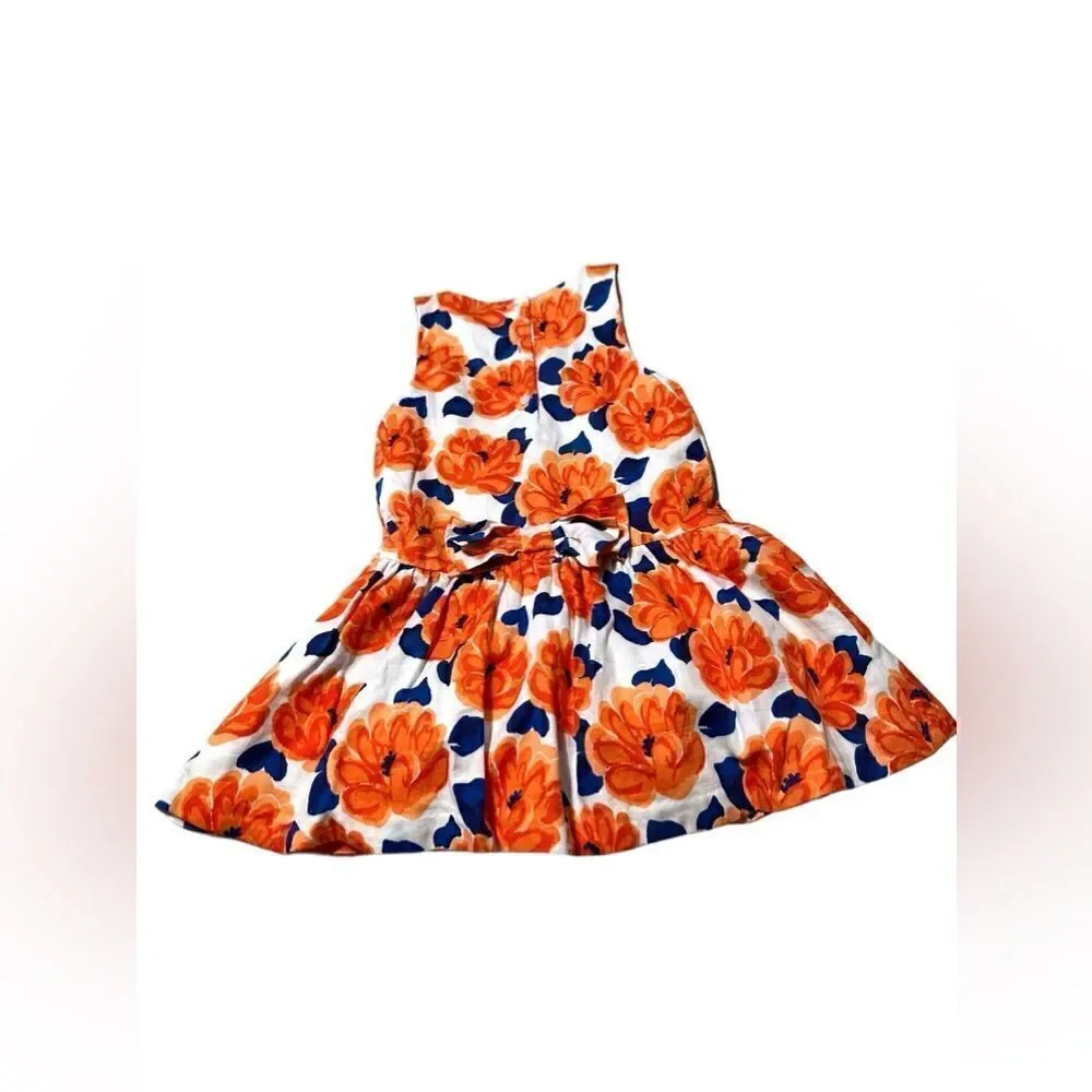 JANIE AND JACK Toddler Kids THE perfect floral dress Size 4